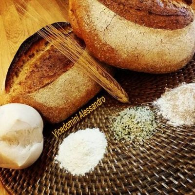 thatsamorepanificio panetterie pasticceria cuneo 04