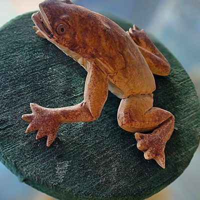 thatsamorepanificio panetterie pasticceria cuneo 06