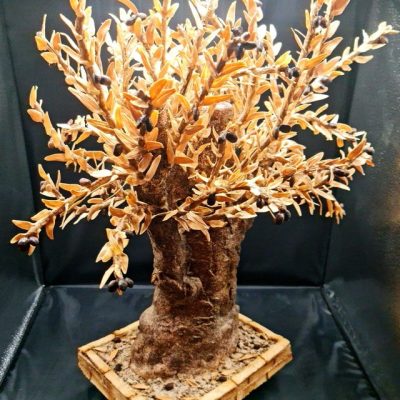 thatsamorepanificio panetterie pasticceria cuneo 53